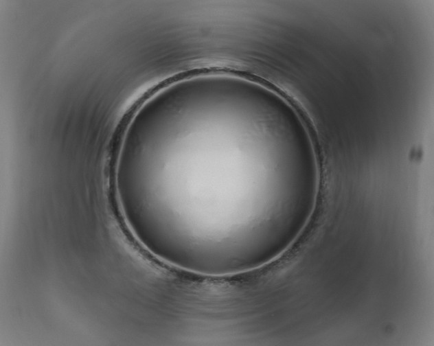 X0000112520983200908241440