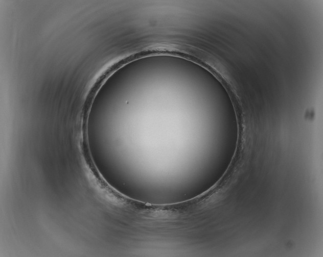 X0000112520984200908241440