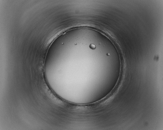 X0000112520985200908241440