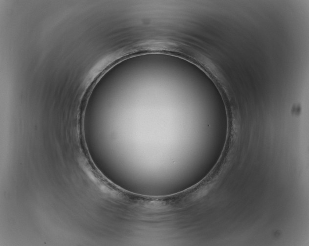 X0000112520986200908241440