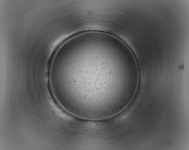 X0000112520987200908241440