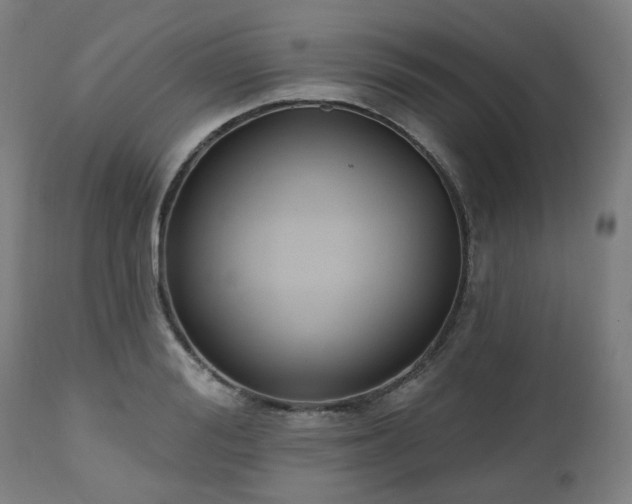 X0000112520988200908241440