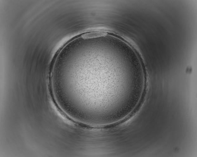 X0000112520989200908241440