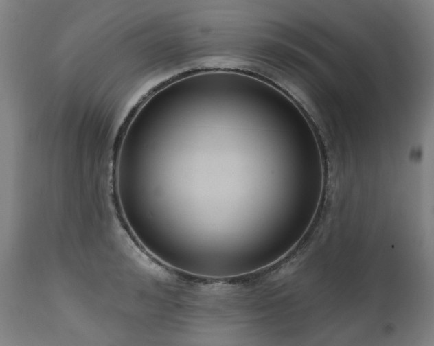 X0000112520992200908241440