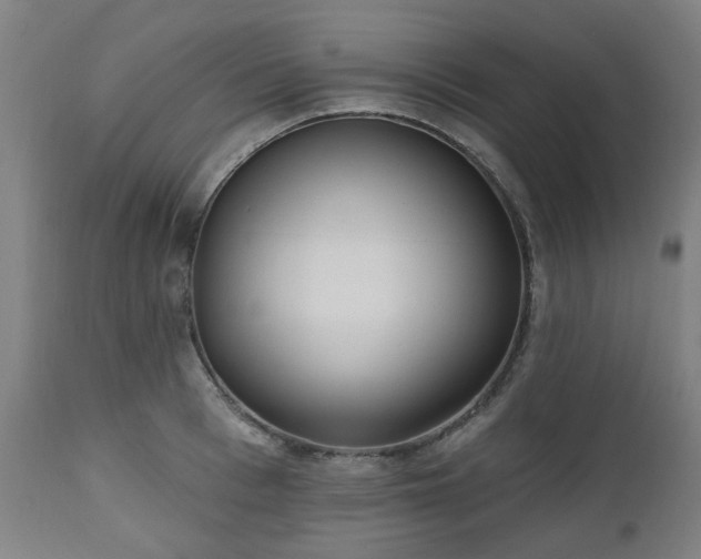 X0000112520993200908241440