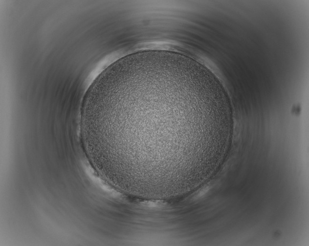 X0000112520994200908241440