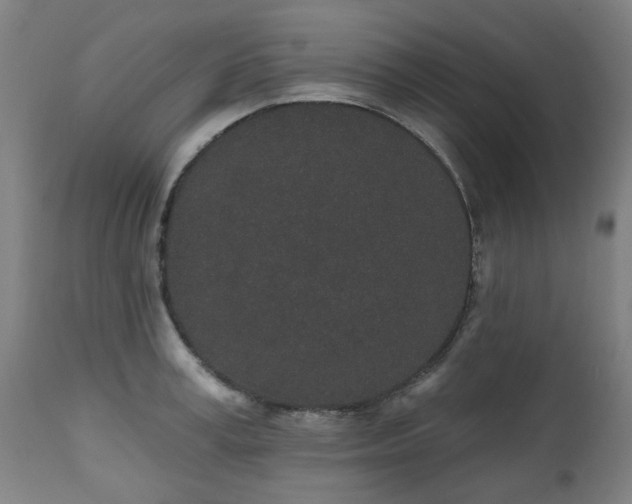 X0000112520995200908241440