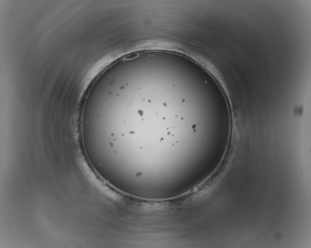 X0000112520997200908241440