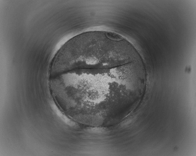 X0000112520998200908241440