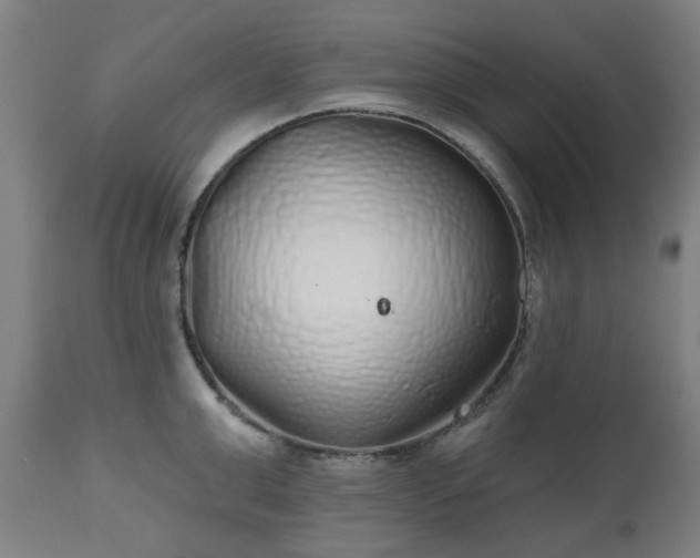 X0000112520999200908241440