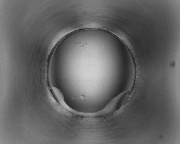 X0000112521000200908241440