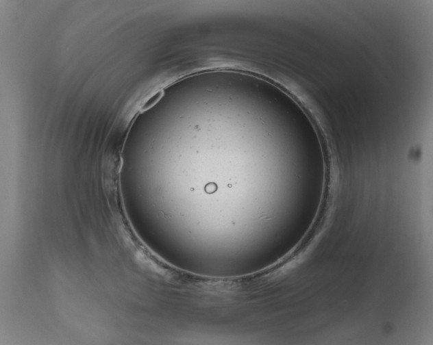 X0000112521001200908241440