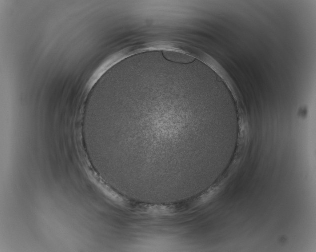 X0000112521002200908241440