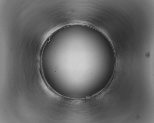 X0000112521003200908241440
