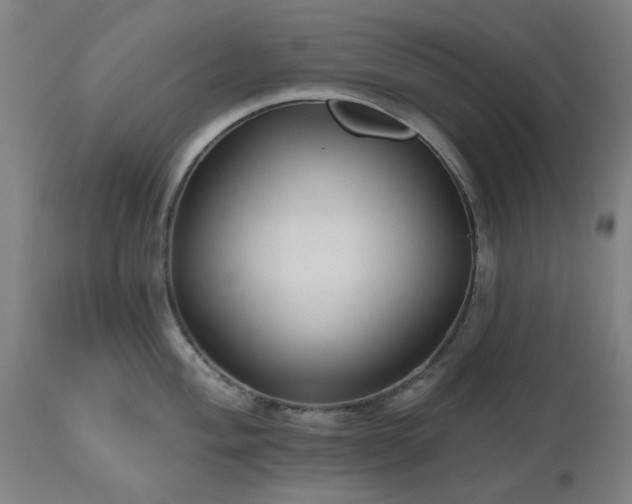 X0000112521004200908241440