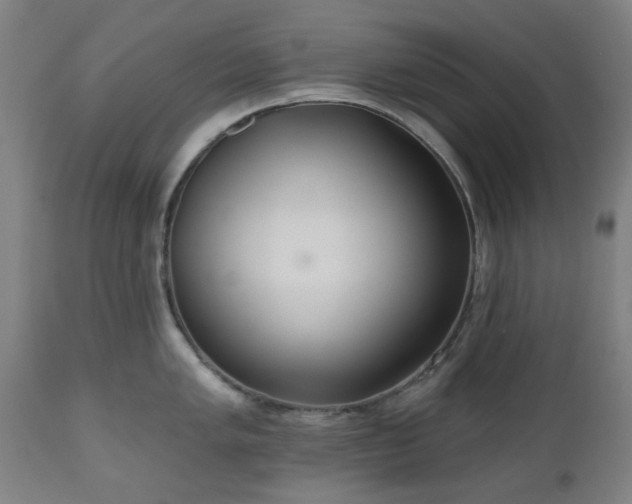 X0000112521005200908241440