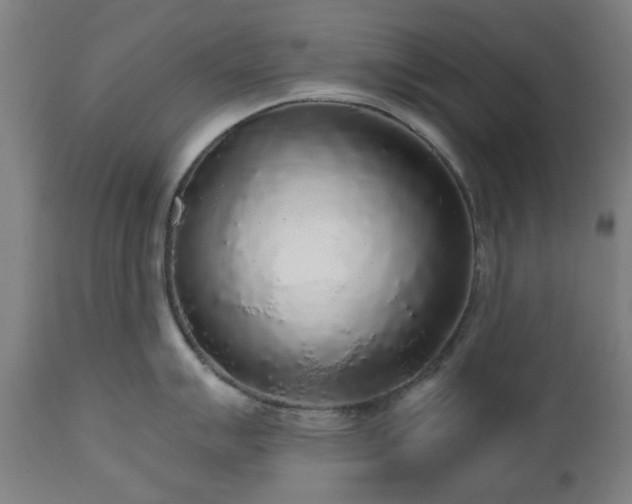 X0000112521007200908241440