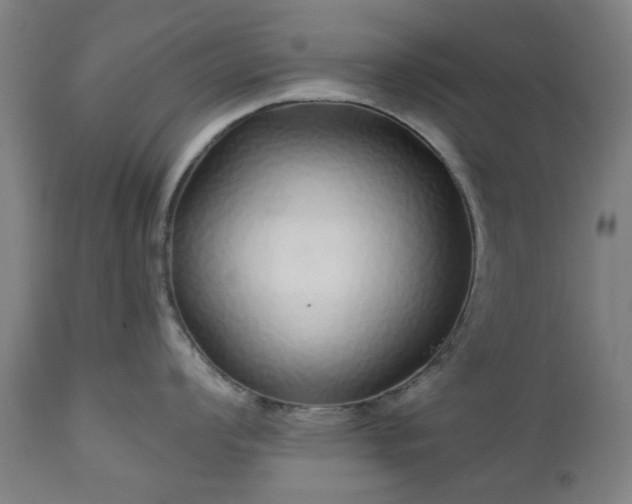 X0000112521008200908241440