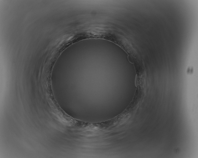 X0000112521009200908241439