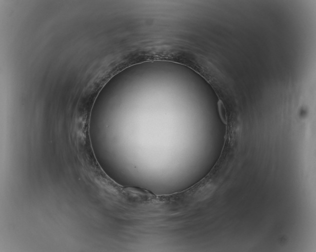 X0000112521010200908241439