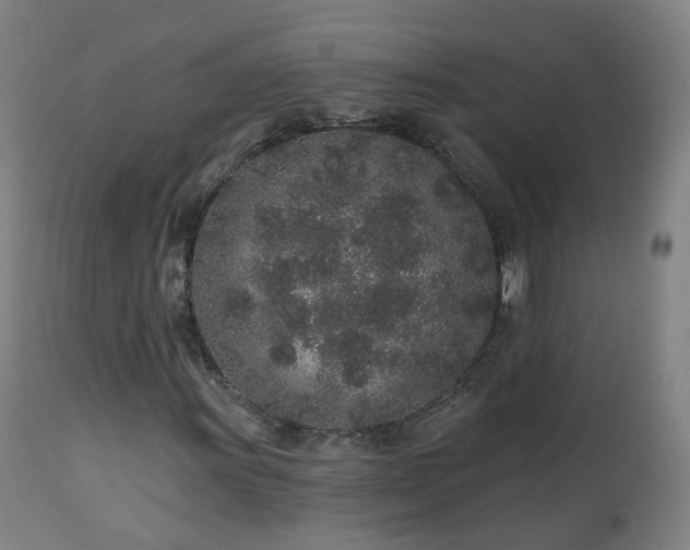 X0000112521011200908241439