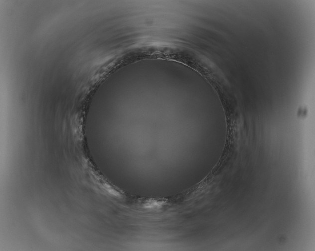 X0000112521013200908241439