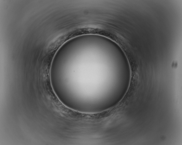 X0000112521014200908241439