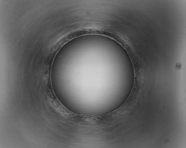 X0000112521015200908241439