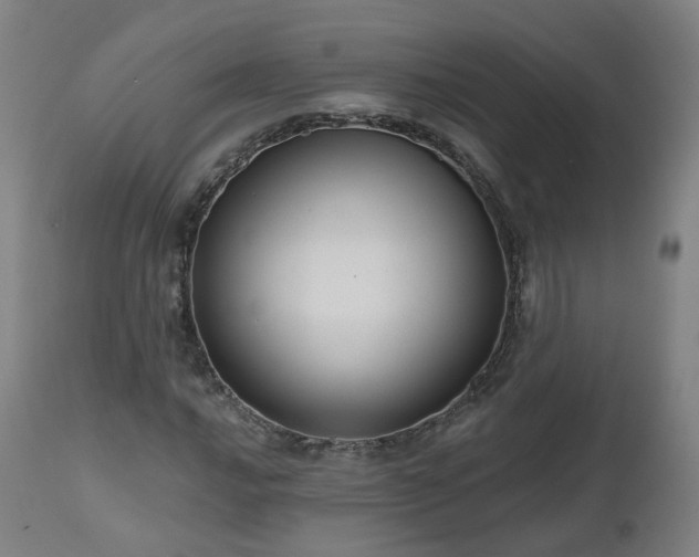 X0000112521016200908241439