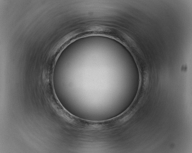X0000112521017200908241439