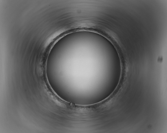 X0000112521018200908241439