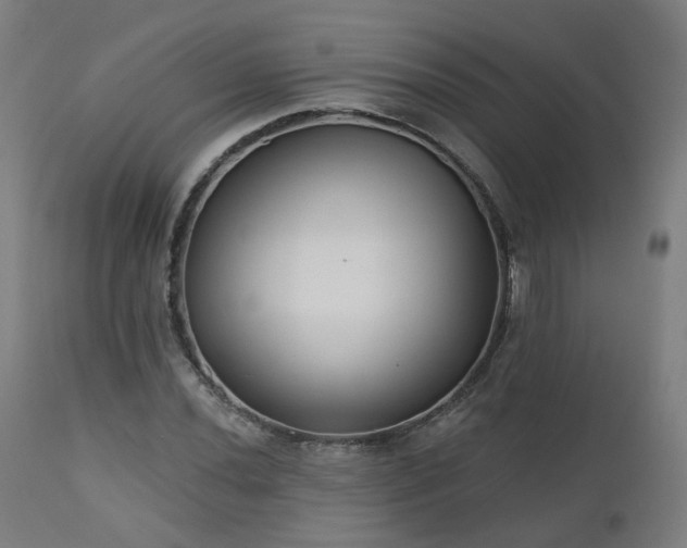 X0000112521020200908241439