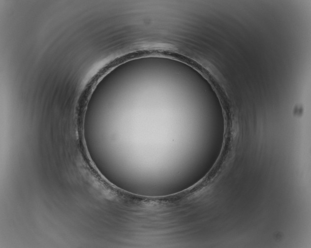 X0000112521022200908241439