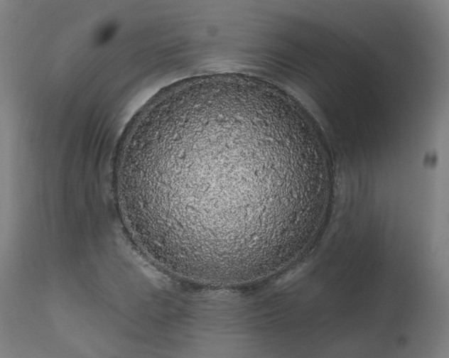 X0000112521023200908241439