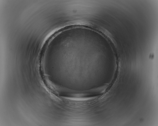 X0000112521024200908241439