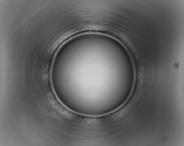 X0000112521025200908241439