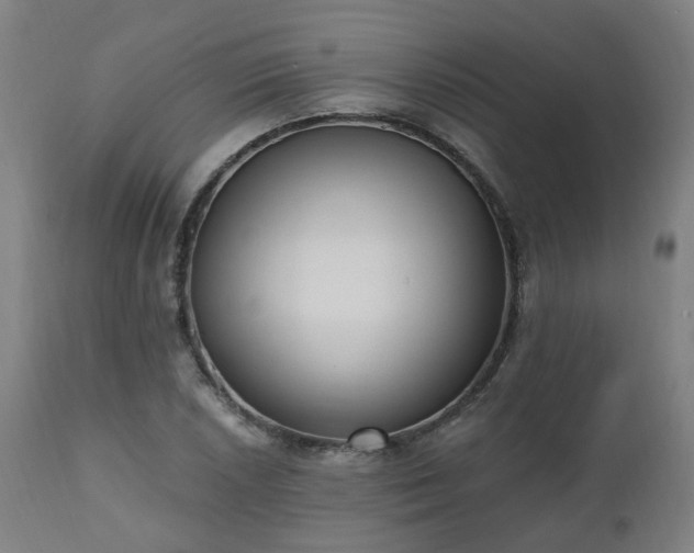 X0000112521026200908241439