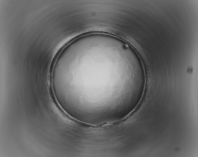 X0000112521028200908241439