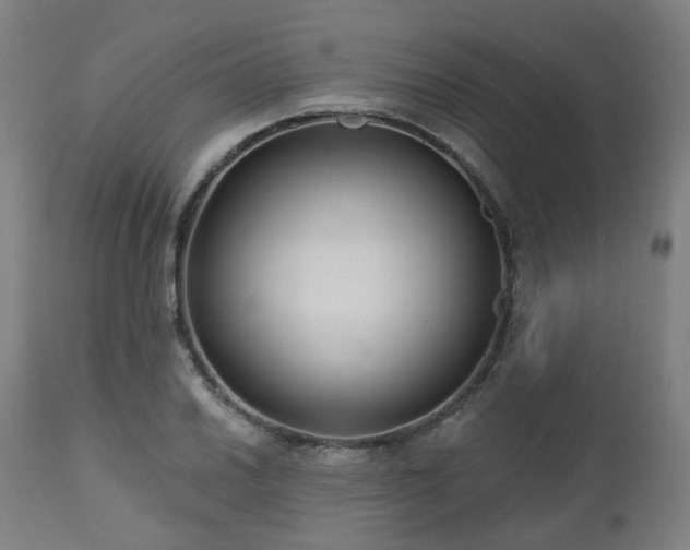 X0000112521030200908241439