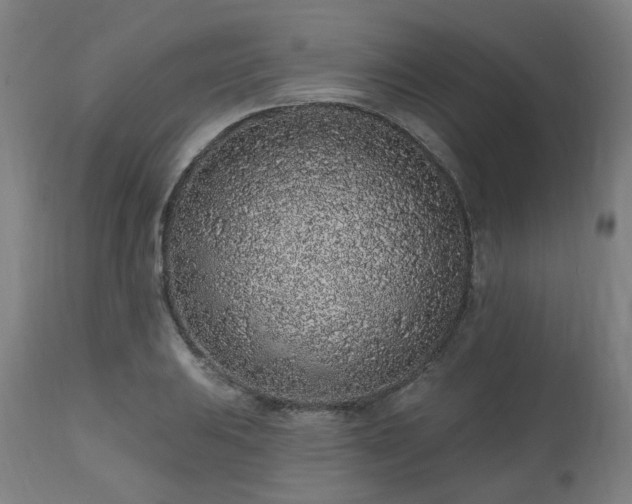 X0000112521031200908241439