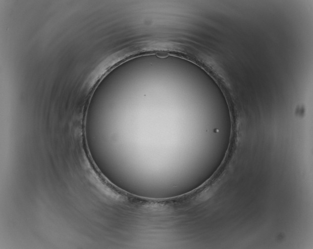 X0000112521033200908241439