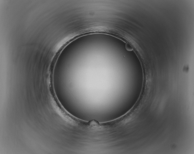 X0000112521034200908241439