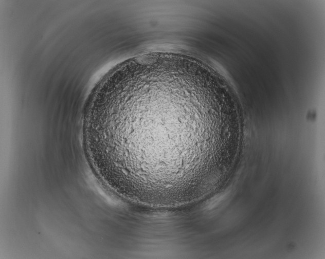 X0000112521035200908241439
