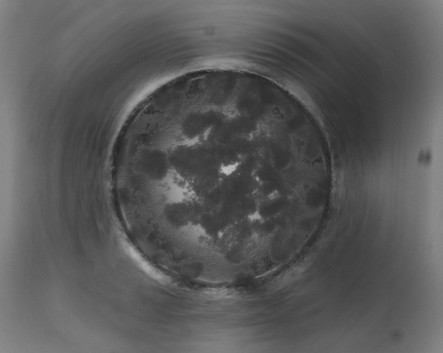X0000112521037200908241439