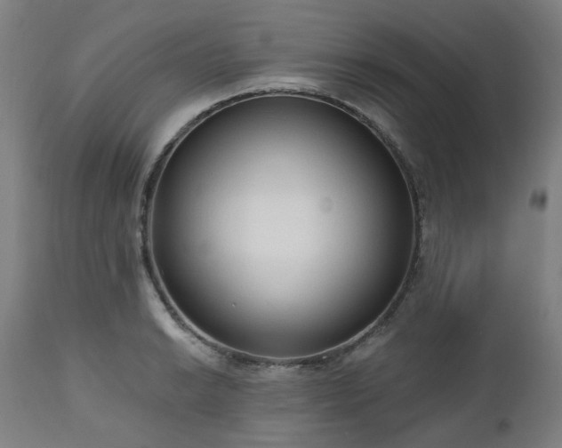 X0000112521038200908241439