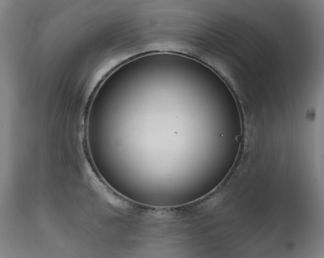 X0000112521040200908241439