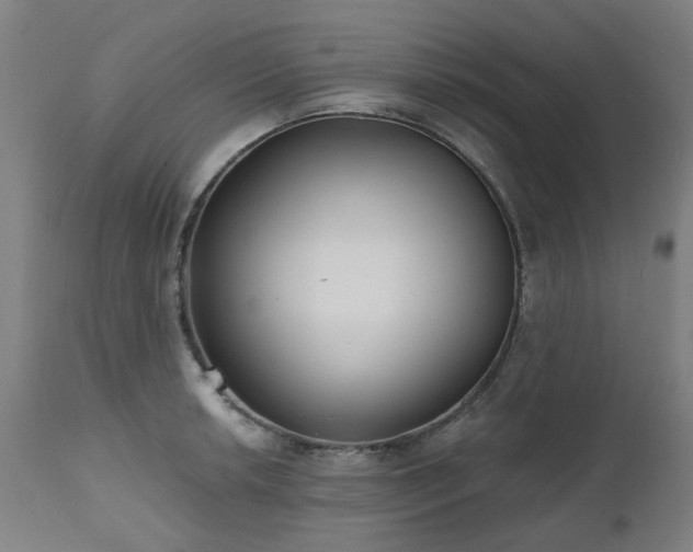 X0000112521042200908241440