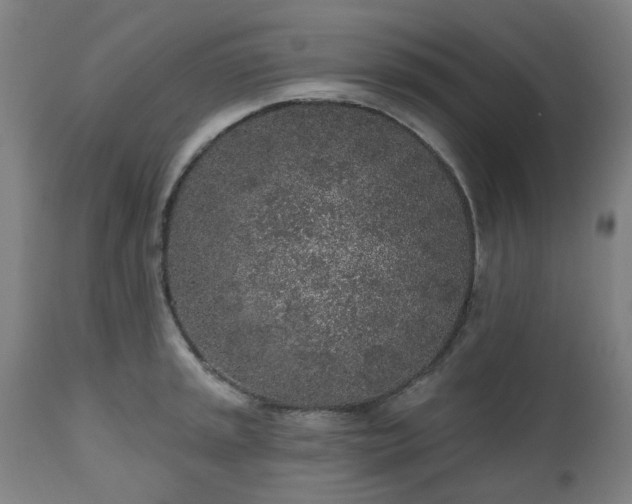 X0000112521045200908241440