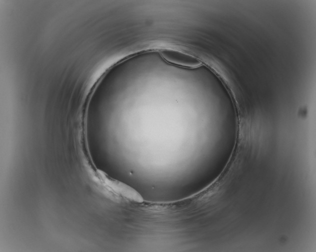 X0000112521048200908241440