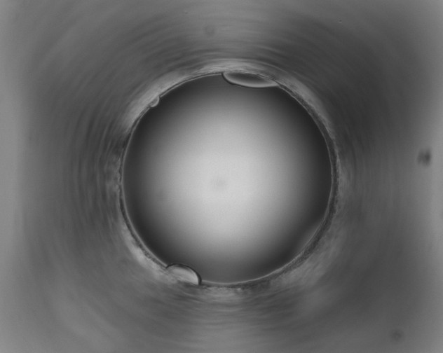 X0000112521049200908241440